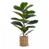 Plante artificielle figuier lyre 28 po