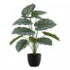 Plante artificielle calathea 24 po