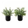 Plante artificielle herbe d’eucalyptus 11 po - ensemble de 2