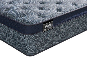 Matelas luxueux ferme à Euro-plateau Austin de Springwall pour grand lit