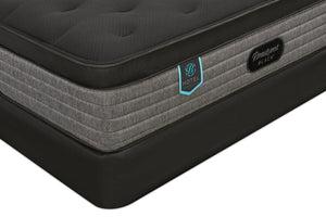 Ensemble matelas luxueux ferme à Euro-plateau Presidential Suite de série Hotel de Beautyrest BlackMD pour grand lit