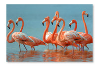  Flamingos 24 po x 36 po : Cadre d'art mural et panneau de tissu