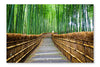 Path To Bamboo Forest, Arashiyama 28 po x 42 po : Oeuvre d’art murale en panneau de tissu sans cadre