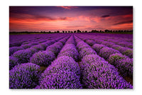  Lavender Sunset 16 po x 24 po : Cadre d'art mural et panneau de tissu