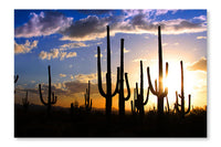 Saguaro National Park 28 po x 42 po : Oeuvre d’art murale en panneau de tissu sans cadre