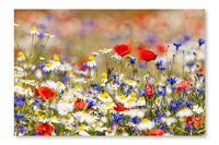 Wild Flowers 28 po x 42 po : Oeuvre d’art murale en panneau de tissu sans cadre