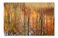 Autumn Forest Reflection 28 po x 42 po : Oeuvre d’art murale en panneau de tissu sans cadre