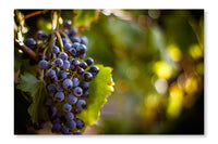 Large Bunch of Red Wine Grapes 28 po x 42 po : Oeuvre d’art murale en panneau de tissu sans cadre