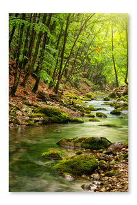 River Deep in Mountain Forest 28 po x 42 po : Oeuvre d’art murale en panneau de tissu sans cadre