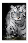 Black and White Tiger 16 po x 24 po : Oeuvre d’art murale en panneau de tissu sans cadre