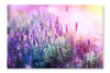 Lavender Flowers Field 16 po x 24 po : Oeuvre d’art murale en panneau de tissu sans cadre