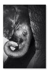 Baby Elephant Seeking Comfort 28 po x 42 po : Oeuvre d’art murale en panneau de tissu sans cadre