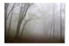  Morning Fog 16 po x 24 po : Cadre d'art mural et panneau de tissu