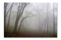  Morning Fog 16 po x 24 po : Cadre d'art mural et panneau de tissu