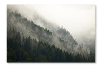  Forest Fog 24 po x 36 po : Cadre d'art mural et panneau de tissu