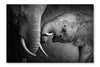 Elephant Affection 16 po x 24 po : Cadre d'art mural et panneau de tissu