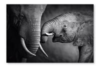  Elephant Affection 16 po x 24 po : Cadre d'art mural et panneau de tissu