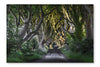 The Dark Hedges 16 po x 24 po : Oeuvre d’art murale en panneau de tissu sans cadre