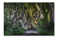 The Dark Hedges 16 po x 24 po : Oeuvre d’art murale en panneau de tissu sans cadre