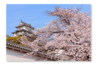 Pink Cherry Blossoms Flower with Japan Castle 24 po x 36 po : Oeuvre d’art murale en panneau de tissu sans cadre