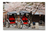 Japan Ricksha with Cherry Blossoms Tree 28 po x 42 po : Oeuvre d’art murale en panneau de tissu sans cadre