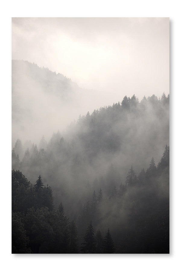 Foggy Forest 24x36 Wall Art Fabric Panel Without Frame