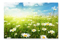 Field of Daisy Flowers 16 po x 24 po : Oeuvre d’art murale en panneau de tissu sans cadre