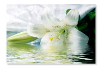  White Lily Reflected In The Water 16 po x 24 po : Cadre d'art mural et panneau de tissu