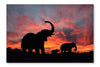 Elephants Enjoy A Spectacular Sunset on The Serengeti 16 po x 24 po : Oeuvre d’art murale en panneau de tissu sans cadre