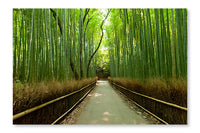  Bamboo Grove 24 po x 36 po : Cadre d'art mural et panneau de tissu