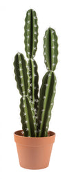 Cactus mexicain artificiel de 26 po en pot terracotta 