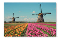Fantastic Landscape with Windmills and Tulip Field 16 po x 24 po : Oeuvre d’art murale en panneau de tissu sans cadre