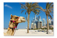 Camel At The Urban Building Background of Dubai 16 po x 24 po : Oeuvre d’art murale en panneau de tissu sans cadre