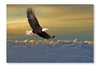 Bald Eagle Flying Above The Clouds 28 po x 42 po : Oeuvre d’art murale en panneau de tissu sans cadre