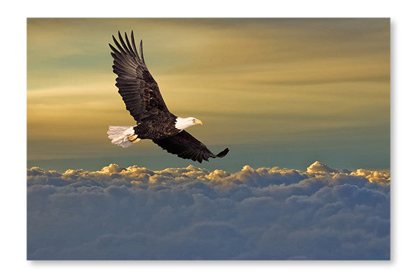 Bald Eagle Flying Above The Clouds 28x42 Wall Art Fabric Panel Without Frame