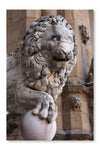  Old Lion Sculpture 28 po x 42 po : Cadre d'art mural et panneau de tissu