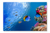 Threadfin Butterflyfish 16 po x 24 po : Oeuvre d’art murale en panneau de tissu sans cadre