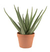 Aloe vera artificiel de 17 po en pot terracotta