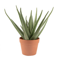  Aloe vera artificiel de 17 po en pot terracotta 