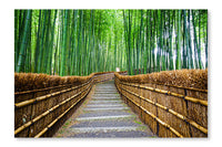  Path To Bamboo Forest, Arashiyama 28 po x 42 po : Cadre d'art mural et panneau de tissu