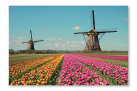 Fantastic Landscape with Windmills and Tulip Field 24 po x 36 po : Oeuvre d’art murale en panneau de tissu sans cadre