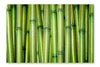 Fresh Bamboo Background 24 po x 36 po : Oeuvre d’art murale en panneau de tissu sans cadre