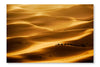  Camel Caravan 16 po x 24 po : Cadre d'art mural et panneau de tissu