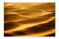  Camel Caravan 16 po x 24 po : Cadre d'art mural et panneau de tissu