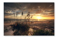 Grassy and Beach Sunset 24 po x 36 po : Oeuvre d’art murale en panneau de tissu sans cadre