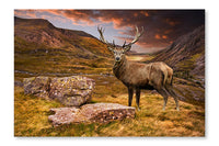 Red Deer Stag in Moody Dramatic Mountain Sunset Landscape 24 po x 36 po : Oeuvre d’art murale en panneau de tissu sans cadre