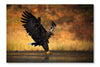 White Tailed Eagle 28 po x 42 po : Oeuvre d’art murale en panneau de tissu sans cadre