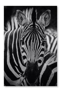  Zebra Pattern Portrait 24 po x 36 po : Cadre d'art mural et panneau de tissu