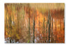 Autumn Forest Reflection 24 po x 36 po : Oeuvre d’art murale en panneau de tissu sans cadre