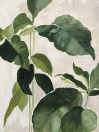 Œuvre d’art murale Giant Art « Tropical Study Ii » 72 x 54